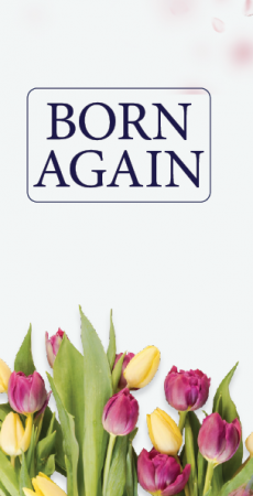 1 Born Again 1